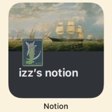 a s t h e t i c notion widget