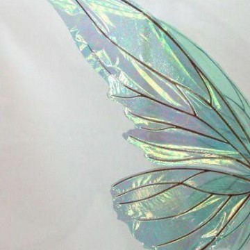 sage green fairy wing