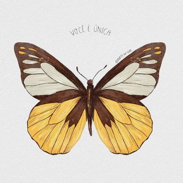 butterfly