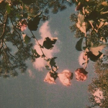 Vintage Flower3