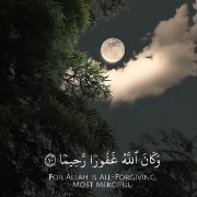 islam widget