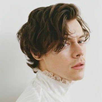harry styles 