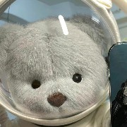 Teddy