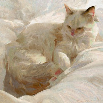 cat