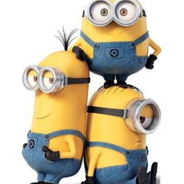 widget minions 