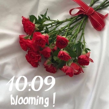 bloom widget