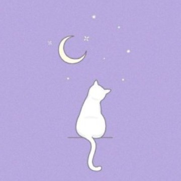 purple widget