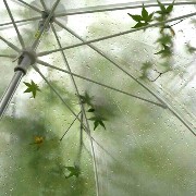 rainy widget