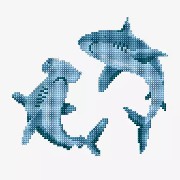 shark  