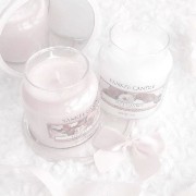 coquette icon