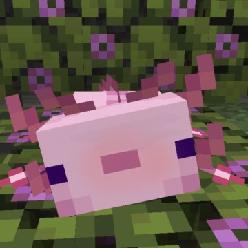 Ajolote/Widget Small/Minecraft