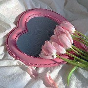 mirror & flowers