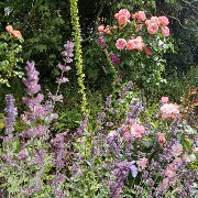 Castle garden