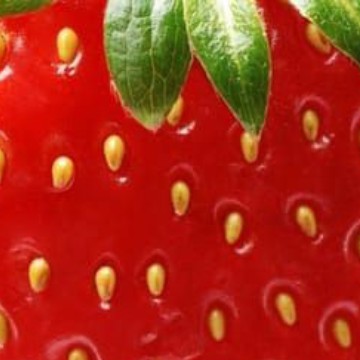 fruit strawberry