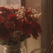 aesthetic vintage red widget 