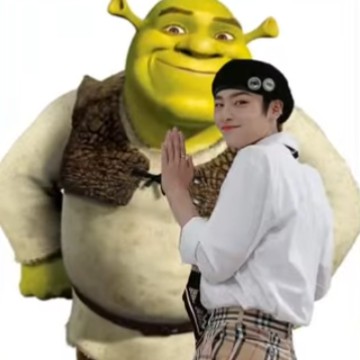 skz I.N y el chuek