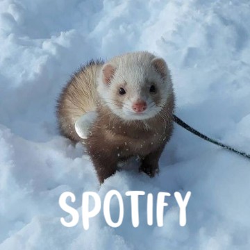 Spotify