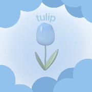 tulip
