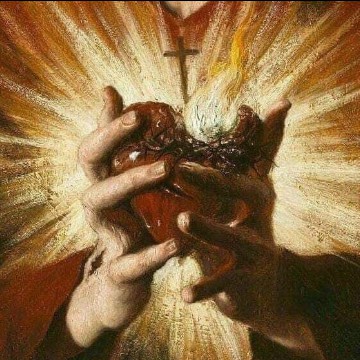 the heart