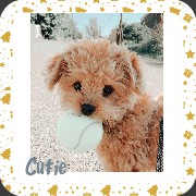 Doggy
