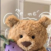  teddy 