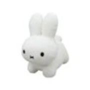 cute rabbit white 