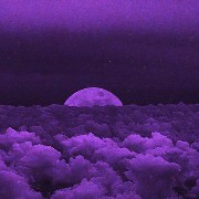 Dark Purple 