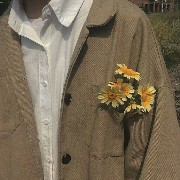 Aesthetic