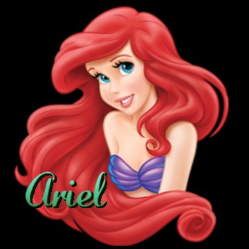 Ariel widget