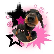 pink dog skateboard