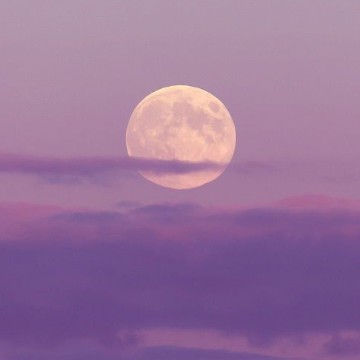 purple moon