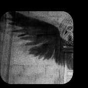grey angel wings