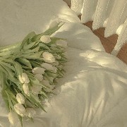 Sage flower 