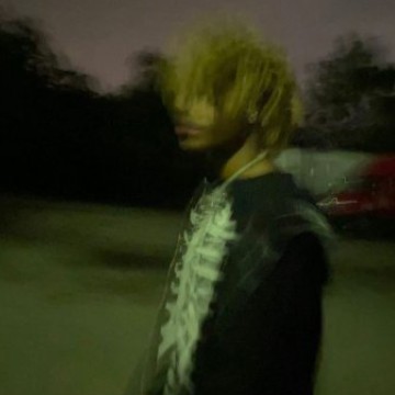 aesthetics 