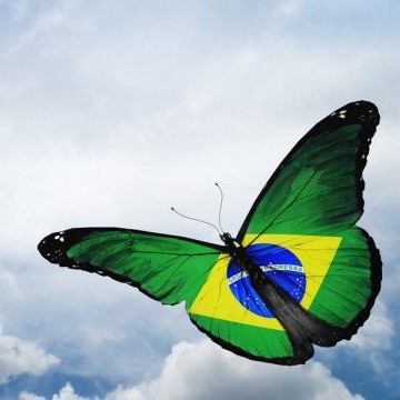  brazil 