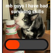 IM A SURVIVORRRRR
