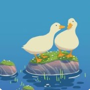 duck