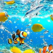 frutiger aero aqua fishes