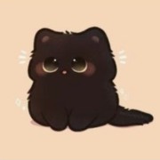cute cat