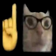 Erm actually
