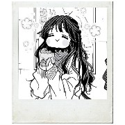 polaroid style widget Copy
