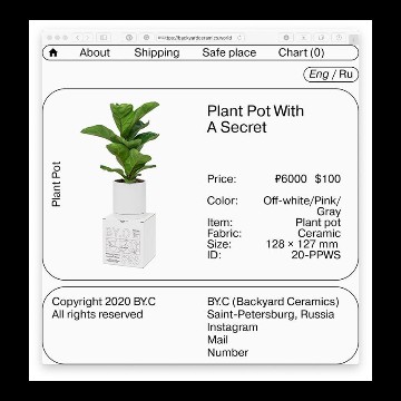 plant