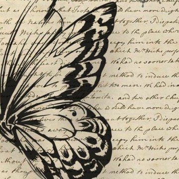 butterfly wing on a page