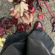 red autumn leaves downtown