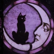 cat on the moon