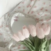 pink tulip