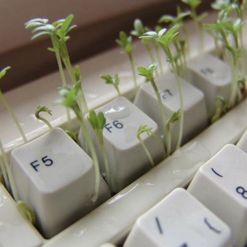 Plant Keyboard