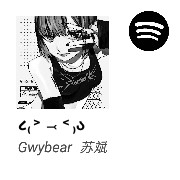 Spotify widget