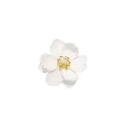 white png