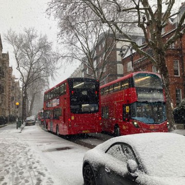 red buses in snow